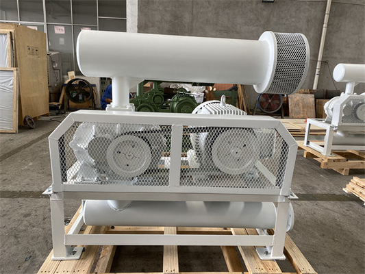 La dislocación positiva el tipo ventilador de las raíces del arrabio para Ash Blowing In Power Plant