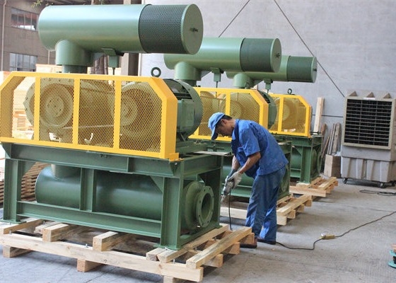 10" 80kpa 71.52m3/Min 132kw de hierro fundido tres lóbulos de raíces soplador
