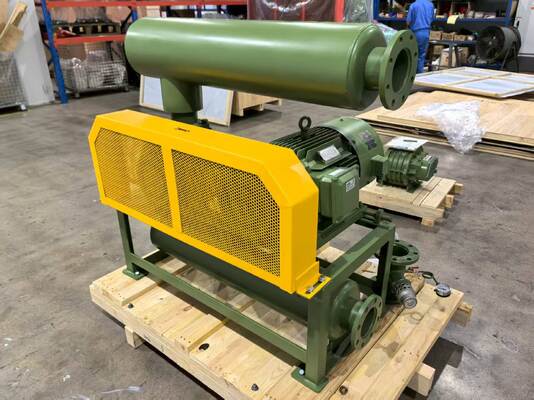 Bomba de vacío Roots modelo BV10034 con dimensiones de entrada y salida DN350 para capacidad de vacío de aire en diversas industrias
