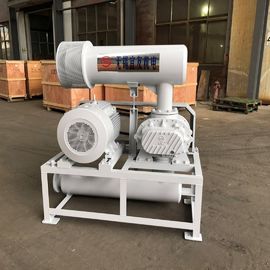 Tipo económico ventilador de las raíces