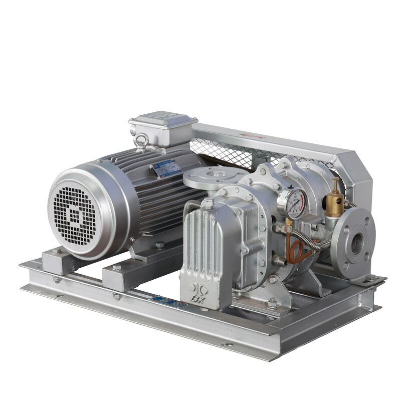 BX100 4'' 3.18-11.74 m3/min 0.1-0.7 kgf/cm2 Soplador de raíces de acero inoxidable de la serie BX