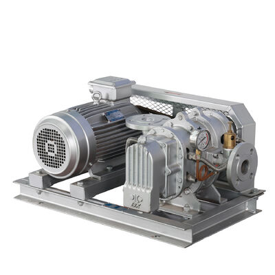 BX100 4'' 3.18-11.74 m3/min 0.1-0.7 kgf/cm2 Soplador de raíces de acero inoxidable de la serie BX