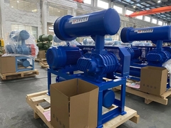 Nuevo tipo de soplador de raíces para tratamiento de agua